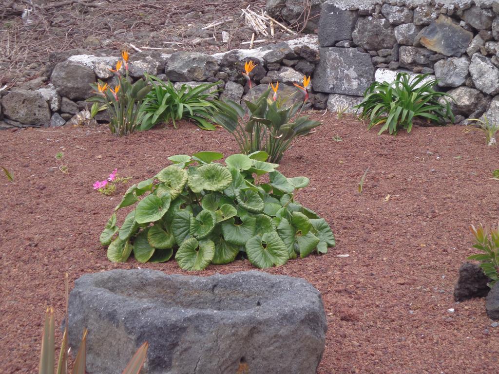 Casa Da Vigia Apartment Calheta de Nesquim Bagian luar foto
